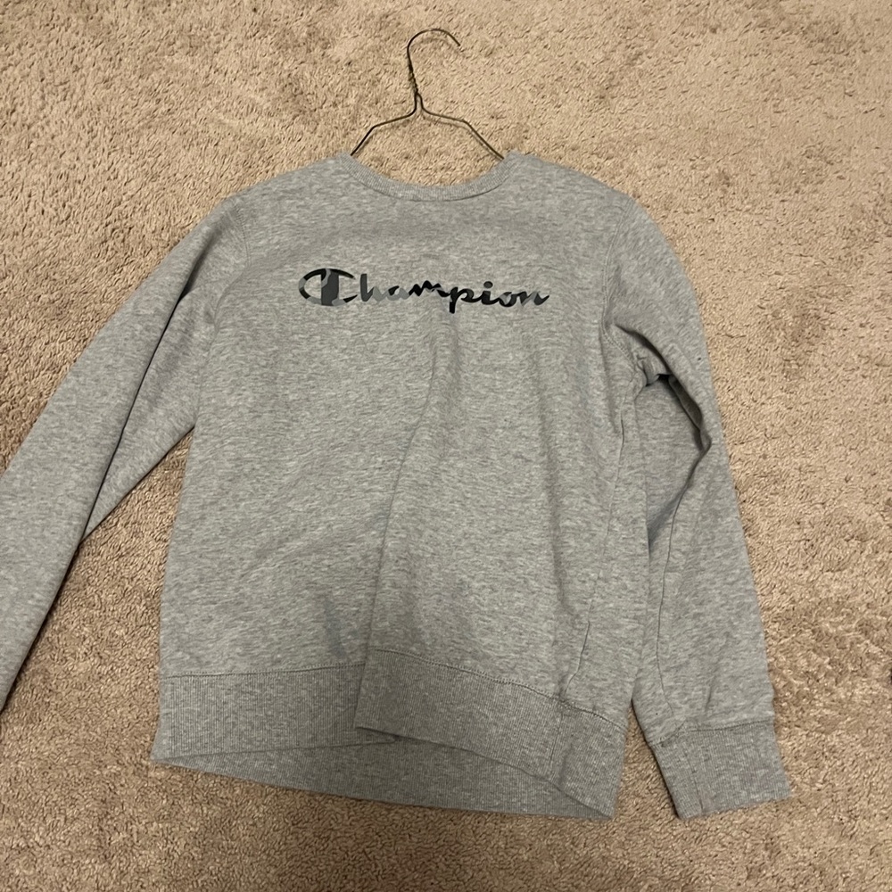 Champion Sweater